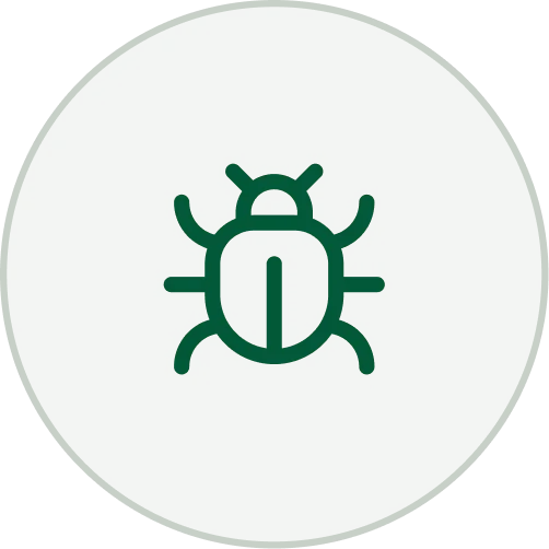 No Pest Infestation or Fungal Decay
