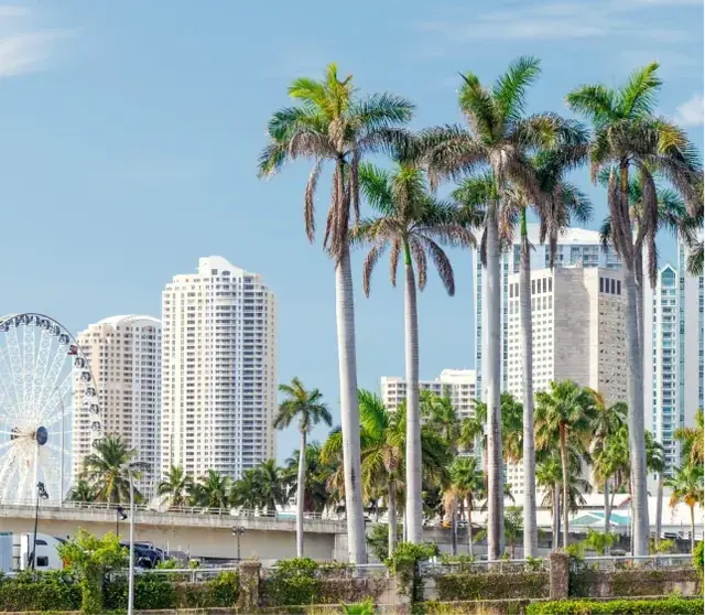 RSE Distributors Miami